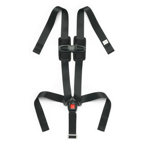 MyFit Harness + Booster Car Seat 5-Point Harness with Chest Clip in 